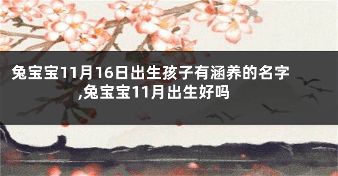兔宝宝11月16日出生孩子有涵养的名字,兔宝宝11月出生好吗