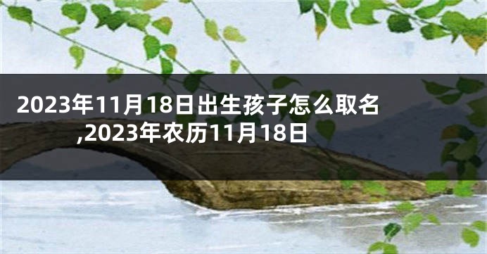 2023年11月18日出生孩子怎么取名,2023年农历11月18日