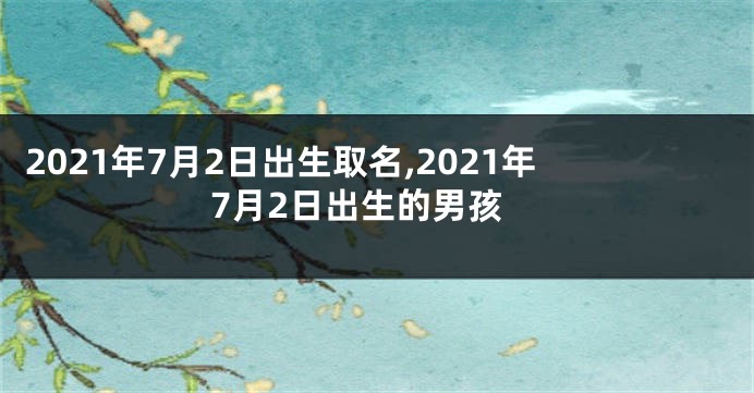 2021年7月2日出生取名,2021年7月2日出生的男孩