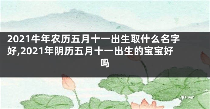 2021牛年农历五月十一出生取什么名字好,2021年阴历五月十一出生的宝宝好吗