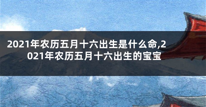 2021年农历五月十六出生是什么命,2021年农历五月十六出生的宝宝