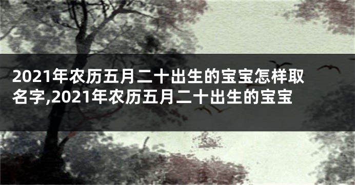 2021年农历五月二十出生的宝宝怎样取名字,2021年农历五月二十出生的宝宝