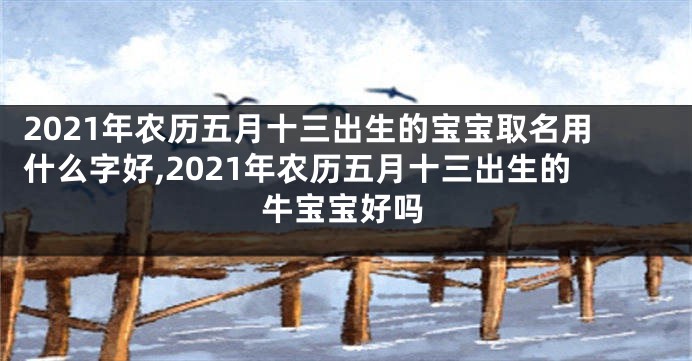 2021年农历五月十三出生的宝宝取名用什么字好,2021年农历五月十三出生的牛宝宝好吗