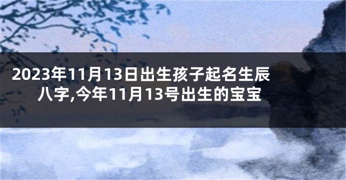 2023年11月13日出生孩子起名生辰八字,今年11月13号出生的宝宝
