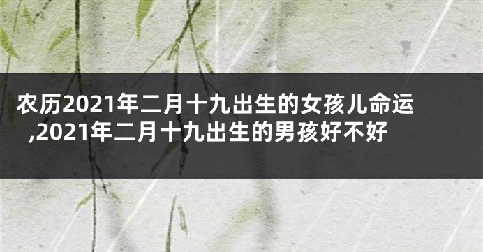 农历2021年二月十九出生的女孩儿命运,2021年二月十九出生的男孩好不好