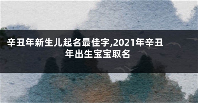 辛丑年新生儿起名最佳字,2021年辛丑年出生宝宝取名