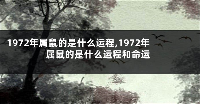1972年属鼠的是什么运程,1972年属鼠的是什么运程和命运