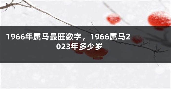 1966年属马最旺数字,1966属马2023年多少岁