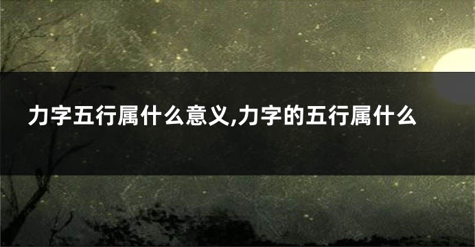 力字五行属什么意义,力字的五行属什么