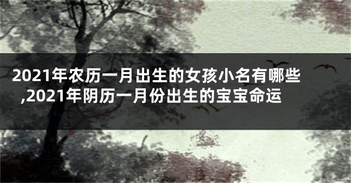 2021年农历一月出生的女孩小名有哪些,2021年阴历一月份出生的宝宝命运