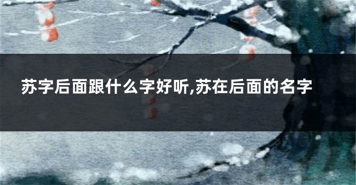 苏字后面跟什么字好听,苏在后面的名字