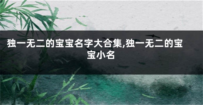 独一无二的宝宝名字大合集,独一无二的宝宝小名