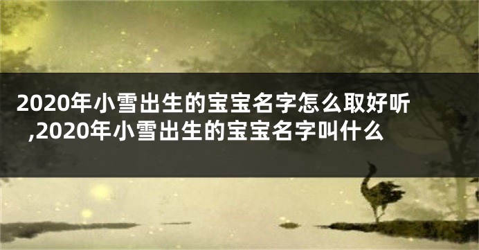 2020年小雪出生的宝宝名字怎么取好听,2020年小雪出生的宝宝名字叫什么