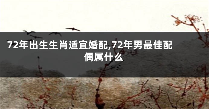 72年出生生肖适宜婚配,72年男最佳配偶属什么