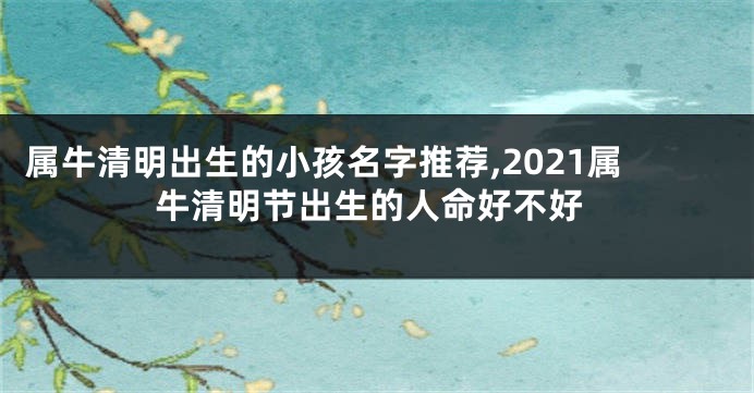 属牛清明出生的小孩名字推荐,2021属牛清明节出生的人命好不好