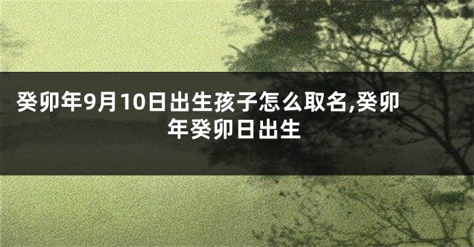 癸卯年9月10日出生孩子怎么取名,癸卯年癸卯日出生