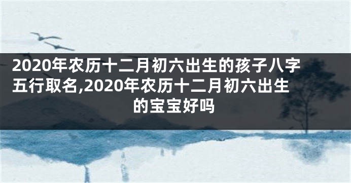 2020年农历十二月初六出生的孩子八字五行取名,2020年农历十二月初六出生的宝宝好吗