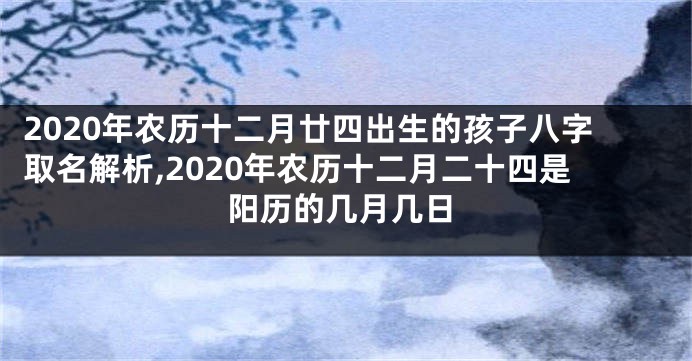 2020年农历十二月廿四出生的孩子八字取名解析,2020年农历十二月二十四是阳历的几月几日