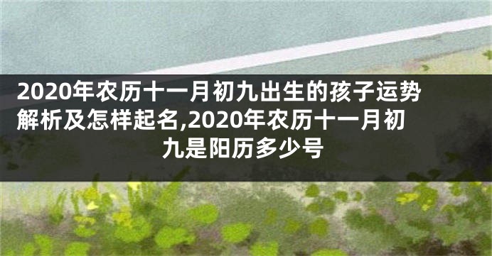 2020年农历十一月初九出生的孩子运势解析及怎样起名,2020年农历十一月初九是阳历多少号