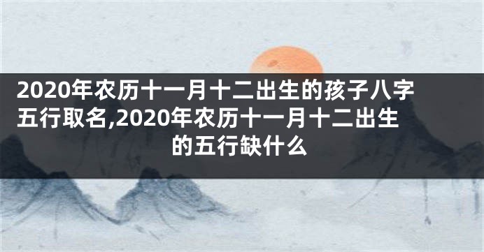 2020年农历十一月十二出生的孩子八字五行取名,2020年农历十一月十二出生的五行缺什么