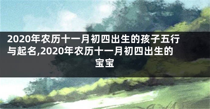 2020年农历十一月初四出生的孩子五行与起名,2020年农历十一月初四出生的宝宝