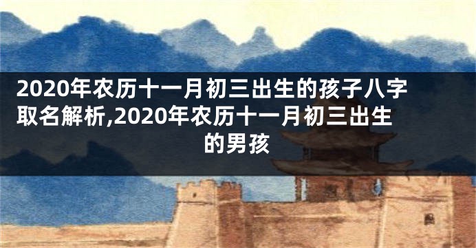 2020年农历十一月初三出生的孩子八字取名解析,2020年农历十一月初三出生的男孩