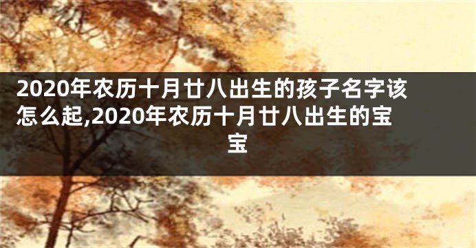 2020年农历十月廿八出生的孩子名字该怎么起,2020年农历十月廿八出生的宝宝