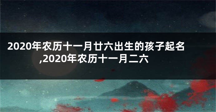 2020年农历十一月廿六出生的孩子起名,2020年农历十一月二六