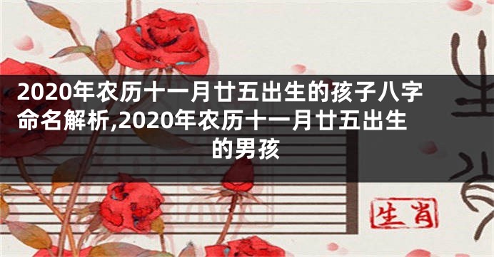 2020年农历十一月廿五出生的孩子八字命名解析,2020年农历十一月廿五出生的男孩