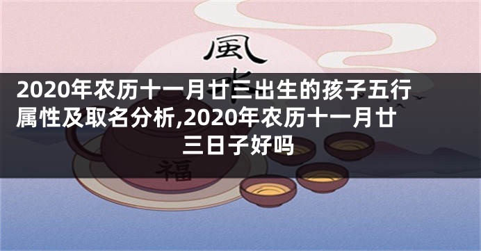 2020年农历十一月廿三出生的孩子五行属性及取名分析,2020年农历十一月廿三日子好吗