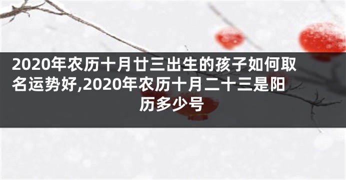 2020年农历十月廿三出生的孩子如何取名运势好,2020年农历十月二十三是阳历多少号