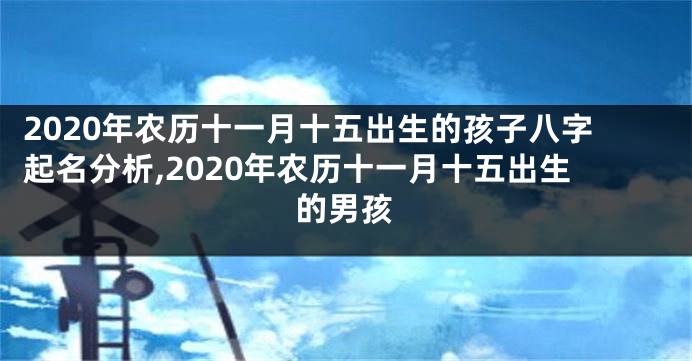 2020年农历十一月十五出生的孩子八字起名分析,2020年农历十一月十五出生的男孩