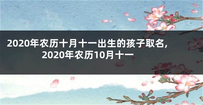 2020年农历十月十一出生的孩子取名,2020年农历10月十一