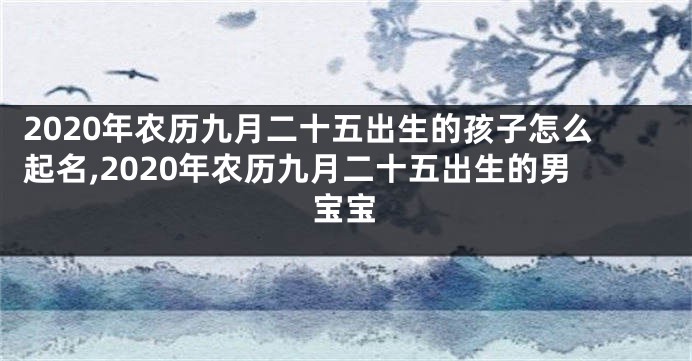 2020年农历九月二十五出生的孩子怎么起名,2020年农历九月二十五出生的男宝宝