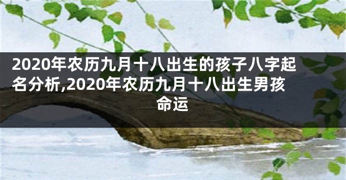 2020年农历九月十八出生的孩子八字起名分析,2020年农历九月十八出生男孩命运