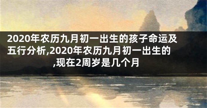 2020年农历九月初一出生的孩子命运及五行分析,2020年农历九月初一出生的,现在2周岁是几个月
