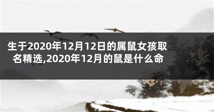 生于2020年12月12日的属鼠女孩取名精选,2020年12月的鼠是什么命