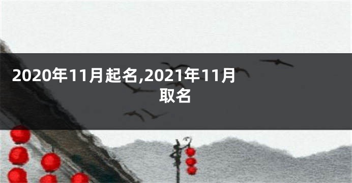 2020年11月起名,2021年11月取名