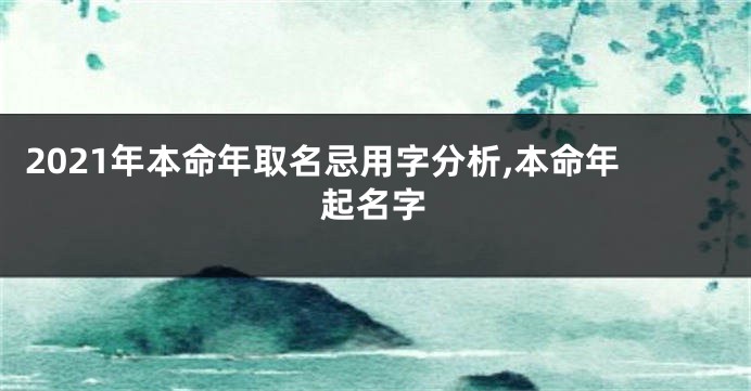 2021年本命年取名忌用字分析,本命年起名字