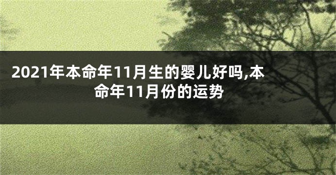 2021年本命年11月生的婴儿好吗,本命年11月份的运势