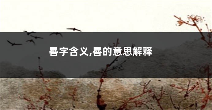 晷字含义,晷的意思解释