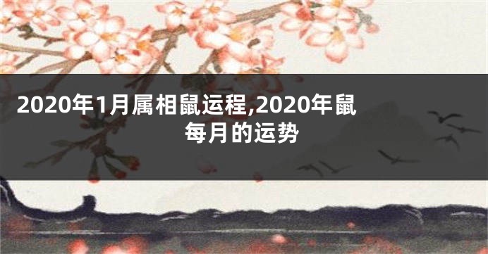 2020年1月属相鼠运程,2020年鼠每月的运势