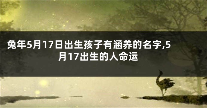 兔年5月17日出生孩子有涵养的名字,5月17出生的人命运