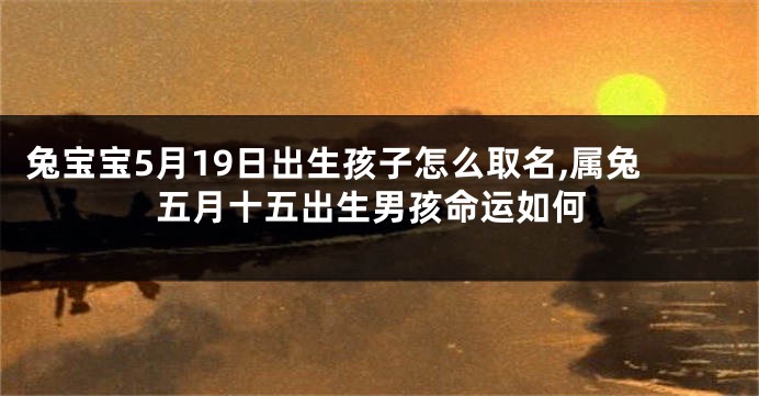 兔宝宝5月19日出生孩子怎么取名,属兔五月十五出生男孩命运如何