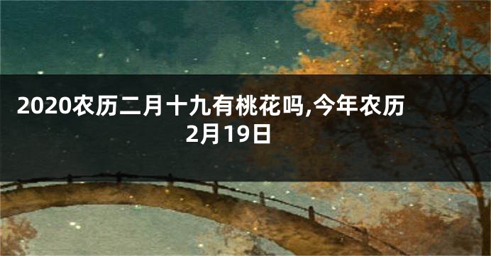 2020农历二月十九有桃花吗,今年农历2月19日