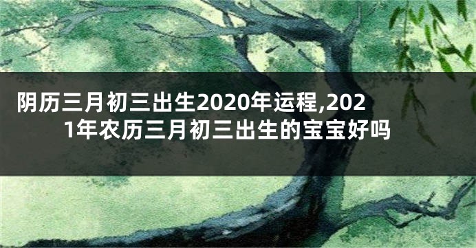 阴历三月初三出生2020年运程,2021年农历三月初三出生的宝宝好吗