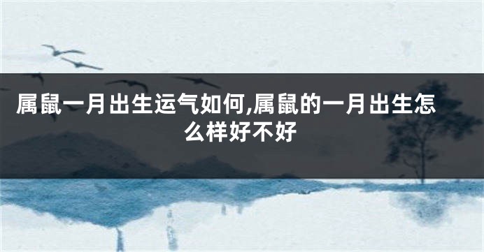 属鼠一月出生运气如何,属鼠的一月出生怎么样好不好