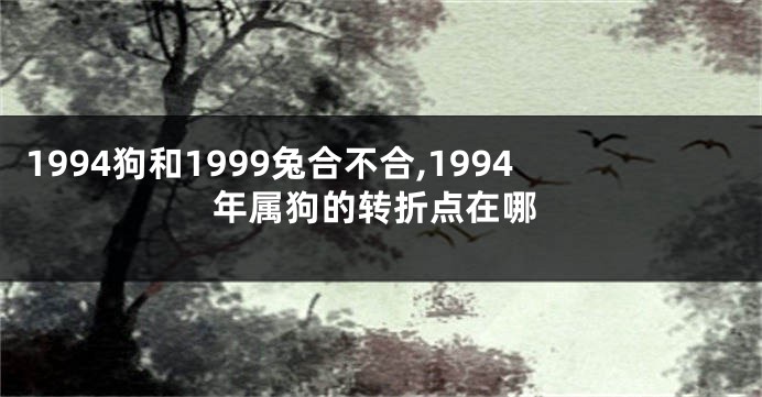 1994狗和1999兔合不合,1994年属狗的转折点在哪