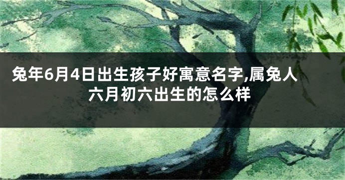 兔年6月4日出生孩子好寓意名字,属兔人六月初六出生的怎么样