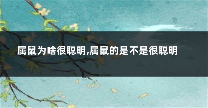属鼠为啥很聪明,属鼠的是不是很聪明